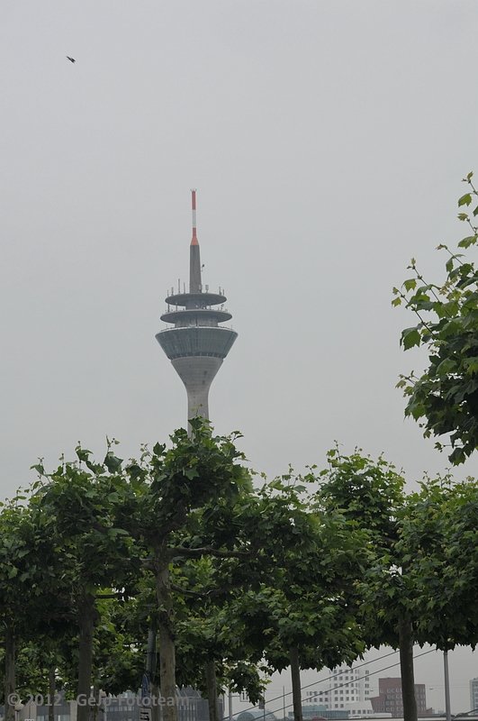 dsc_9003.jpg