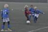 dsc_3912_small.jpg