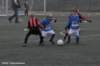 dsc_3901_small.jpg