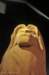 dsc_0439_small.jpg