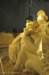 dsc_0449_small.jpg
