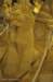 dsc_0457_small.jpg