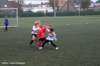 dsc_3617_small.jpg