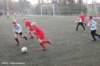 dsc_4295_small.jpg