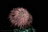 dsc_1341_small.jpg