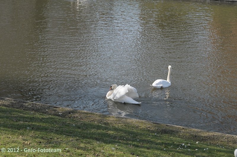 dsc_7812.jpg