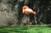 dsc_2327_small.jpg