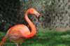dsc_2328_small.jpg