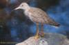 dsc_2331_small.jpg