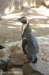 dsc_2337_small.jpg