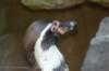 dsc_2340_small.jpg