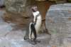 dsc_2341_small.jpg