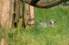 dsc_2343_small.jpg