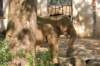 dsc_2345_small.jpg