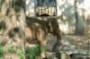 dsc_2346_small.jpg
