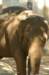 dsc_2347_small.jpg