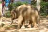 dsc_2353_small.jpg