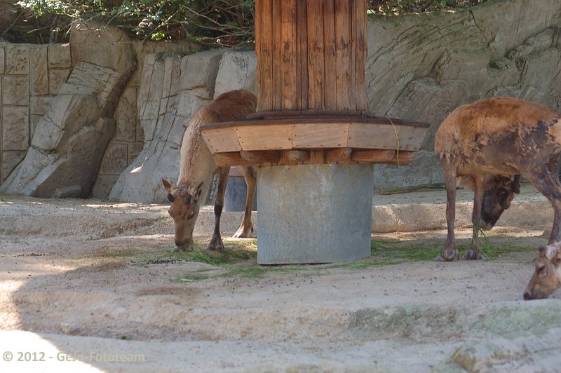 dsc_2383.jpg