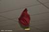 dsc_4385_small.jpg