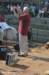 dsc_1546_small.jpg