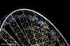 dsc_4768_small.jpg