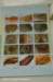 dsc_5428_small.jpg