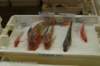 dsc_5429_small.jpg