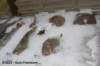dsc_5441_small.jpg