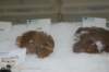 dsc_5443_small.jpg