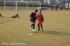 dsc_4628_small.jpg
