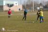 dsc_4642_small.jpg