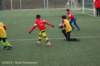 dsc_4683_small.jpg