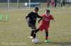 dsc_5308_small.jpg