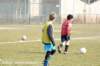 dsc_5336_small.jpg