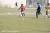 dsc_5338_small.jpg