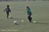 dsc_5363_small.jpg