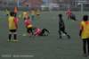 dsc_5400_small.jpg