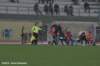 dsc_5036_small.jpg