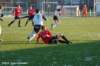 dsc_4540_small.jpg