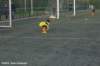 dsc_5076_small.jpg