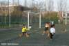 dsc_5082_small.jpg