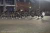 dsc_0380_small.jpg