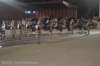 dsc_0386_small.jpg