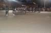 dsc_0389_small.jpg