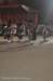 dsc_0391_small.jpg
