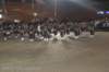 dsc_0399_small.jpg