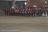 dsc_0407_small.jpg