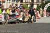 dsc_8881_small.jpg