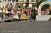 dsc_8890_small.jpg