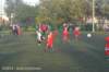 dsc_0600_small.jpg